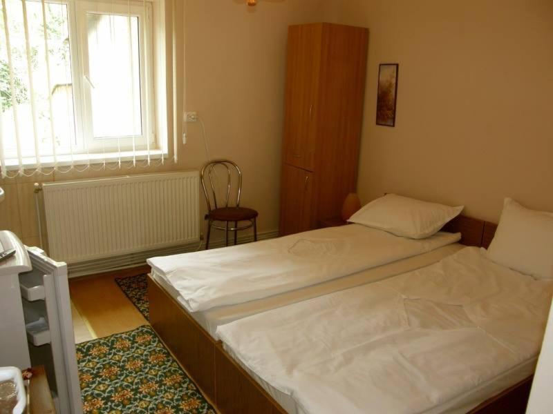 Casa Didina Fosta Pensiune Casa Didina Bacau Room photo